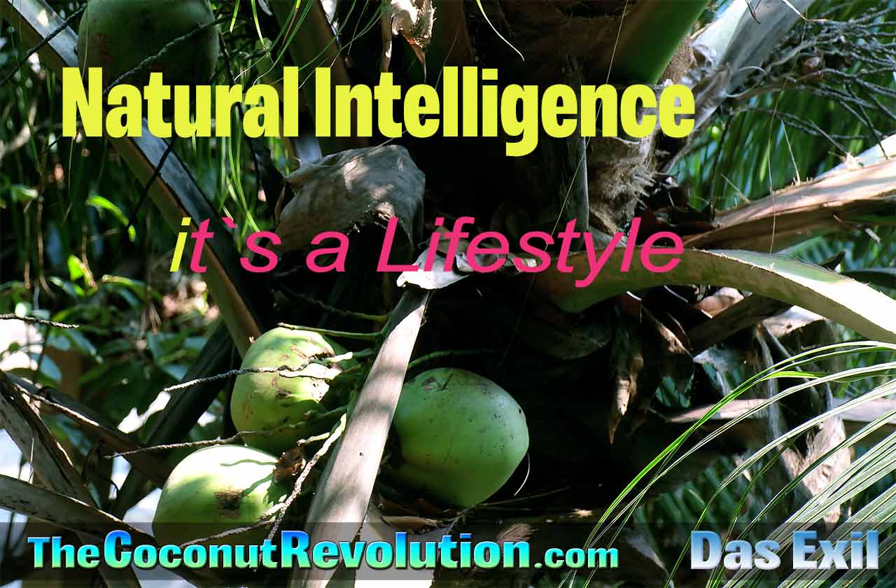 TheCoconutRevolution